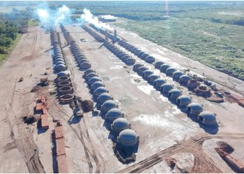 Con 147 hornos construidos, Formosa impulsa la producción de carbón vegetal a escala industrial