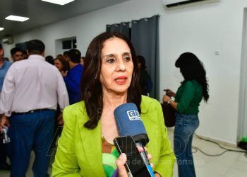 Diputados nacionales de Formosa presentarán proyecto de tarifa eléctrica diferencial para el Norte Grande