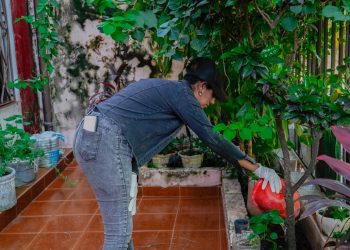 Ante las lluvias reiteradas, piden a la población reforzar la prevención del dengue