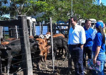 Con total éxito se realizó en Laguna Blanca el segundo remate de invernada de la provincia