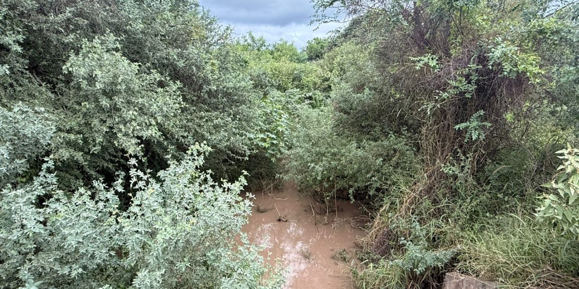 Las Lomitas: El concejal Martínez Meza denunció “abandono total” de la Intendencia ante las inundaciones