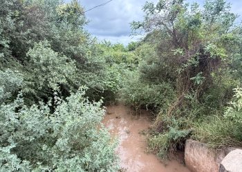 Las Lomitas: El concejal Martínez Meza denunció “abandono total” de la Intendencia ante las inundaciones