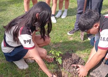 Estudiantes de la EPES N° 31 plantaron árboles en el patio escolar