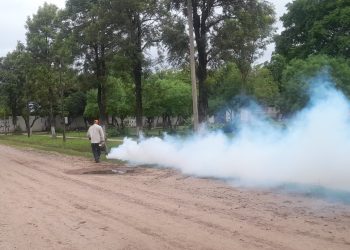 Las brigadas sanitarias realizaron un amplio trabajo contra el dengue en el cementerio San Antonio