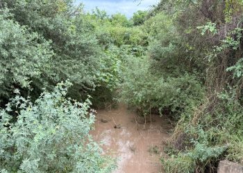 Vialidad Provincial trabajó en la recuperación de los caminos y desagües afectados por las últimas lluvias