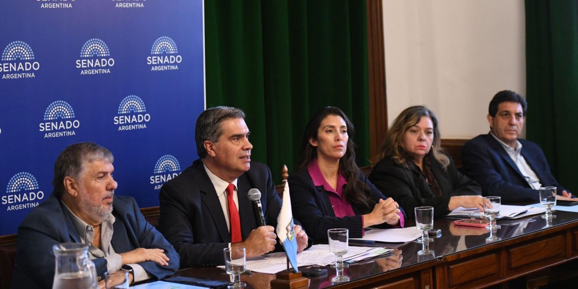 Senadores y senadoras del Norte Grande avanzan con un proyecto para bajar las tarifas de luz en la región