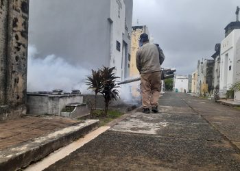 El Gobierno provincial refuerza las acciones contra el dengue en cementerios de la Capital