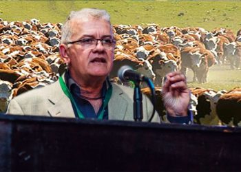 Expresidente de SENASA apuntó contra Paoltroni: “Dice que en Formosa no lo dejan crecer, pero él ahora es un megaempresario”