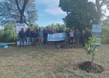 Cómo proteger el mango de las heladas: El CEDEVA realizó jornadas clave en el norte de Formosa
