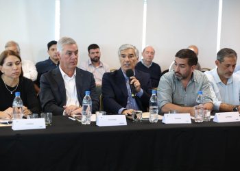 Formosa participó de la mesa federal convocada por el CFI para el sector forestal