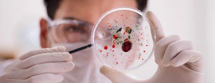 The male doctor working in the lab on virus vaccine