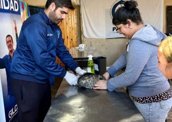 Acciones de tenencia responsable de mascotas en el barrio Las Rosas