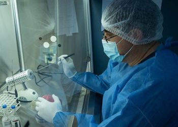 En el Día del Bioquímico destacaron el compromiso y la excelencia de los profesionales que integran la Red Provincial de Laboratorios