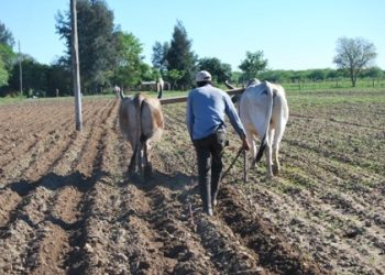 Explican la importancia de por qué no realizar la venta privada de predios rurales fiscales