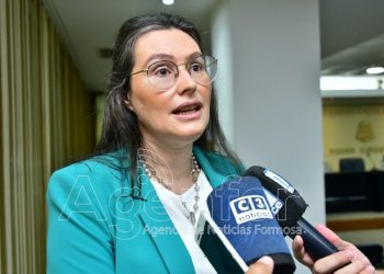 Villarruel aseveró que la tarifa eléctrica de Formosa es “la más competitiva a nivel nacional”