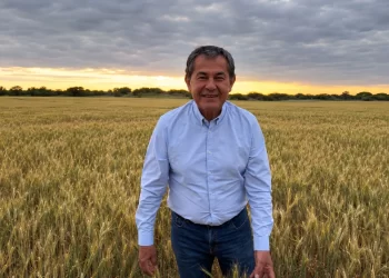 Empresaria rosarina denunció que el diputado Basualdo la involucró en una causa por estafa