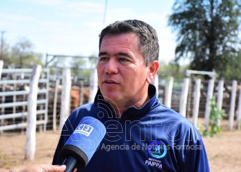 El 30 de julio se realizará una Feria Ganadera Paippera en El Chorro