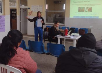 En los centros de salud de Vaca Perdida y La Rinconada capacitaron sobre cuidados en las embarazadas y en las infancias