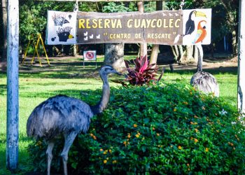 La Reserva Guaycolec abre sus puertas durante las vacaciones de invierno con entrada libre y gratuita