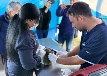 El PAIPPA realizó acciones de cuidado responsable de mascotas en el barrio Lote 4