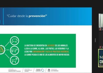 Equipos de salud de toda la provincia actualizaron conocimientos sobre el Síndrome Urémico Hemolítico
