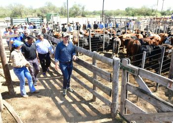 Fortín Soledad vivió una exitosa jornada de la Feria Ganadera Paippera