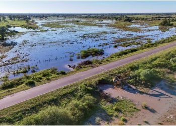 Formosa intimó a Vialidad Nacional para evitar el colapso hídrico en las rutas 11 y 95 ante el fenómeno de El Niño