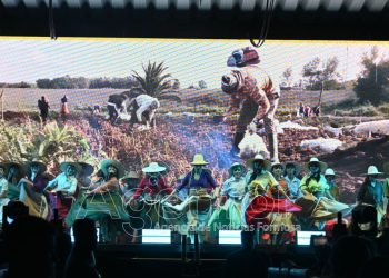 Este sábado se abre la Fiesta Nacional del Pomelo en Laguna Blanca