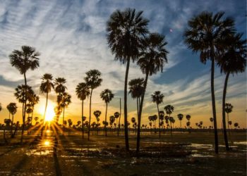 Formosa será sede de la Feria Regional de Turismo