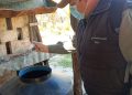 En toda la provincia se mantienen activas las acciones contra el dengue