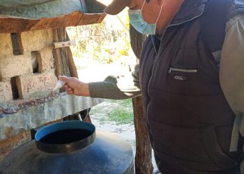 En toda la provincia se mantienen activas las acciones contra el dengue