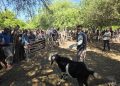 El CEDEVA trabaja en fortalecer las capacidades productivas del oeste formoseño