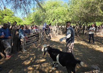 El CEDEVA trabaja en fortalecer las capacidades productivas del oeste formoseño