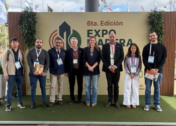 Expo Madera Paraguay: Empresas formoseñas fortalecieron vínculos y exploraron nuevas oportunidades de negocios