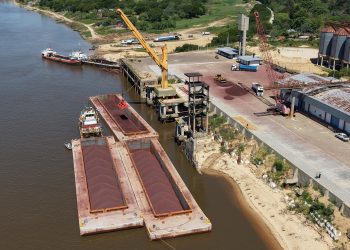 Llegó un nuevo cargamento de mineral de hierro para la planta biosiderúrgica en Formosa
