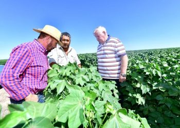 Insfrán reconoció “el esfuerzo y compromiso” de los productores agropecuarios