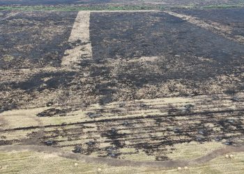 Destacan el despliegue ante los incendios en Pozo de Maza y cruzan a la oposición: “Hablan desde afuera sin haber estado frente al fuego”