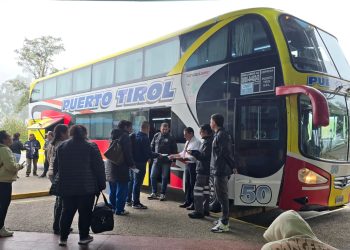 Habrá transportes especiales para la XLII Fiesta Nacional del Pomelo