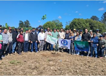 Diversificación productiva: Productores de Laguna Naineck y Riacho He Hé fueron capacitados por el CEDEVA en la implantación del mango