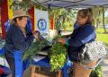 Insfrán saludó a los productores en su día: “Hacen de la tierra una fuente de trabajo”