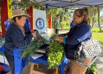 Insfrán saludó a los productores en su día: “Hacen de la tierra una fuente de trabajo”