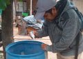 Dengue: Instan a la población a colaborar en la eliminación de recipientes que pueden ser criaderos de mosquitos