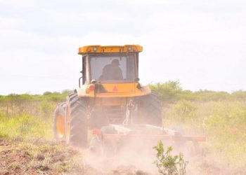 El PAIPPA inició en Las Lomitas trabajos de preparación de suelo para la siembra de primera