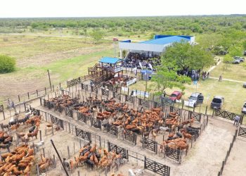 Laguna Blanca: Destacan el impacto del remate ganadero en el desarrollo productivo y la economía regional de Formosa